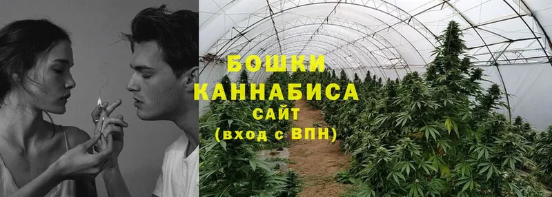 купить наркоту  Новокубанск  mega как зайти  Канабис сатива 